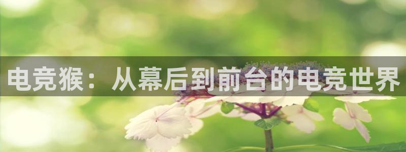 小艾电竞场馆平台：电竞猴：从幕后到前台的电竞世界
