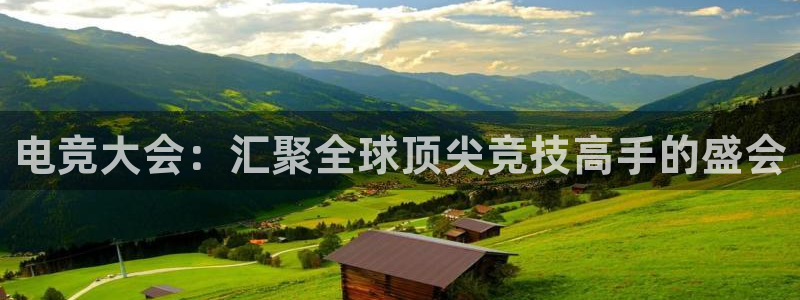 小艾电竞app下载：电竞大会：汇聚全球顶尖竞技高手的盛会