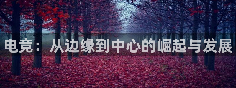 小艾电竞官方网站：电竞：从边缘到中心的崛起与发展