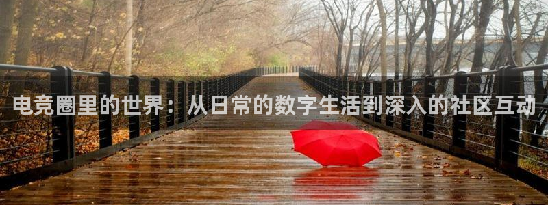 小艾电竞注册：电竞圈里的世界：从日常的数字生活到深入的社区互动
