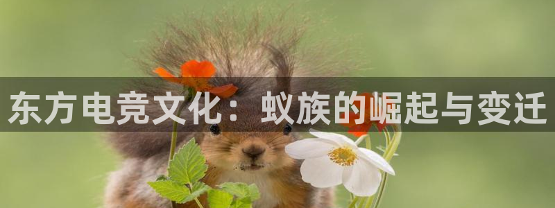 小艾电竞最厉害三个平台：东方电竞文化：蚁族的崛起与变迁