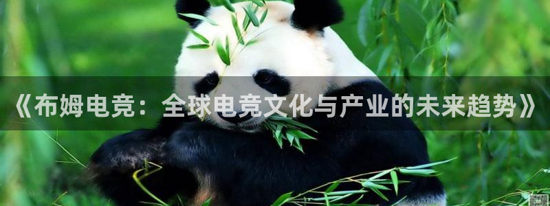 小艾电竞网页版登录：《布姆电竞：全球电竞文化与产业的未来趋势》