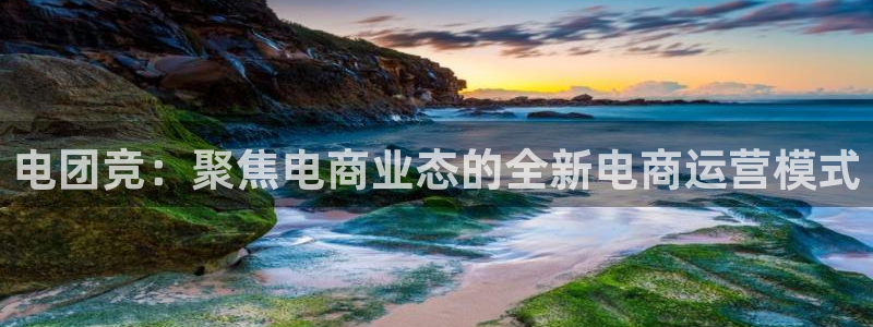 小艾电竞集团：电团竞：聚焦电商业态的全新电商运营模式