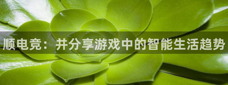 小艾电竞官网入口登录：顺电竞：并分享游戏中的智能生活趋势