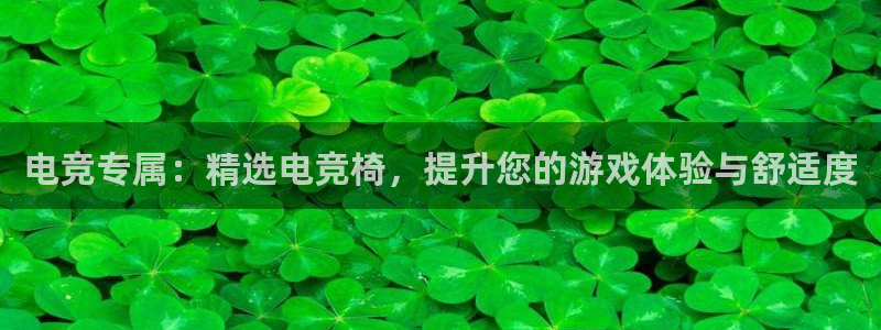 小艾电竞平台：电竞专属：精选电竞椅，提升您的游戏体验与舒适度