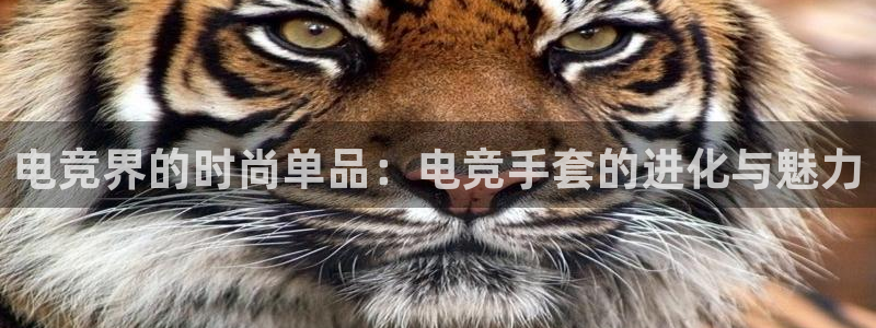 小艾电竞官网网址：电竞界的时尚单品：电竞手套的进化与魅力